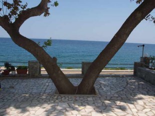 antonoulisAntonios2