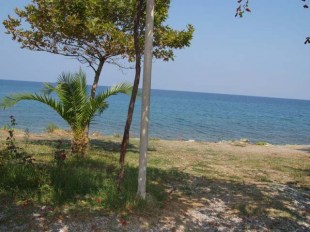didinouxar2